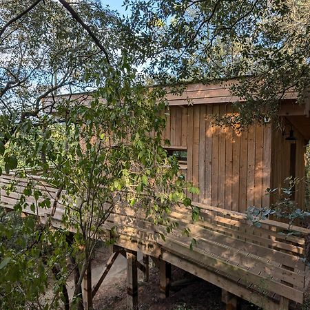 Les Cabanes Dans Les Bois Logis Hotel Villedubert Luaran gambar