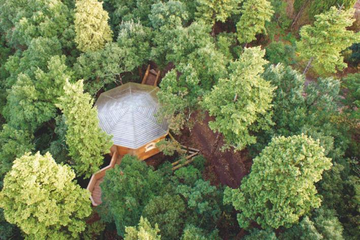 Les Cabanes Dans Les Bois Logis Hotel Villedubert Luaran gambar